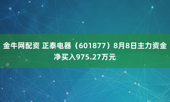 金牛网配资 正泰电器(601877)8月8日主力资金净买入975.27万元