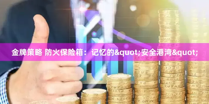 金牌策略 防火保险箱：记忆的"安全港湾"